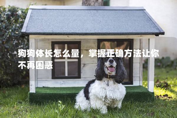 狗狗体长怎么量,掌握正确方法让你不再困惑 狗狗体长怎么量,掌握正确方法让你不再困惑