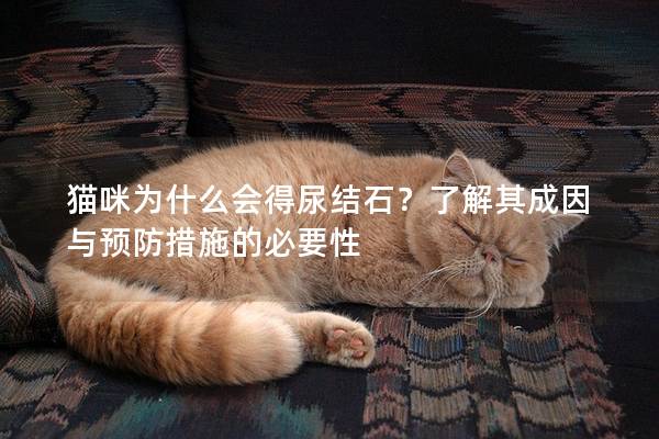 猫咪为什么会得尿结石?了解其成因与预防措施的必要性 猫咪为什么会得尿结石?了解其成因与预防措施的必要性
