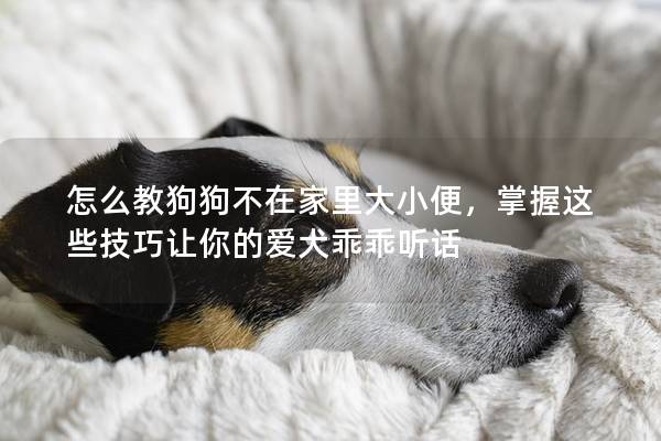 怎么教狗狗不在家里大小便，掌握这些技巧让你的爱犬乖乖听话