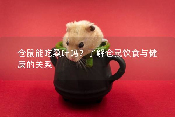 仓鼠能吃桑叶吗？了解仓鼠饮食与健康的关系