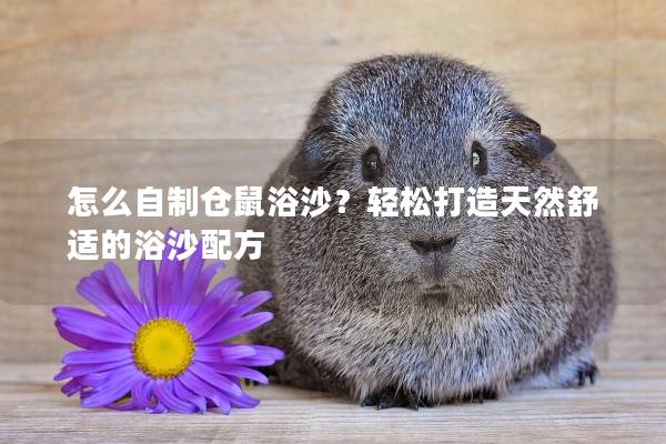 怎么自制仓鼠浴沙?轻松打造天然舒适的浴沙配方 怎么自制仓鼠浴沙?轻松打造天然舒适的浴沙配方