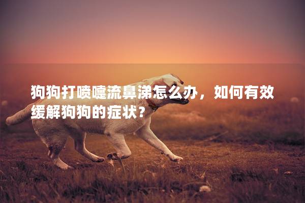 狗狗打喷嚏流鼻涕怎么办，如何有效缓解狗狗的症状？