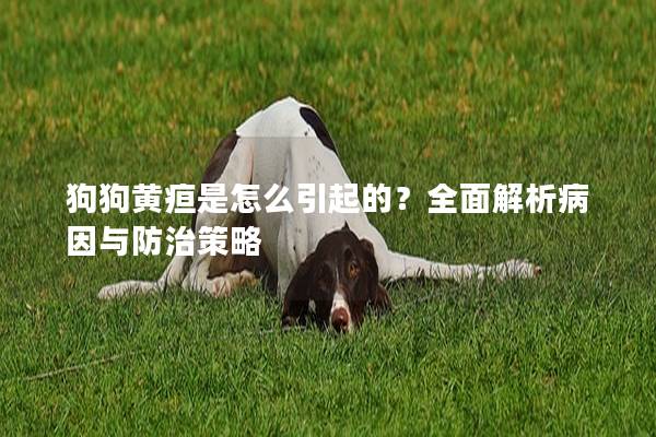 狗狗黄疸是怎么引起的？全面解析病因与防治策略