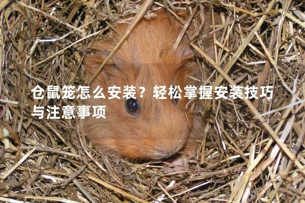 仓鼠笼怎么安装？轻松掌握安装技巧与注意事项