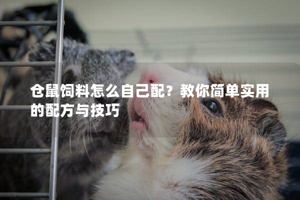 仓鼠饲料怎么自己配？教你简单实用的配方与技巧