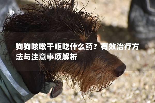 狗狗咳嗽干呕吃什么药？有效治疗方法与注意事项解析