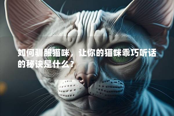 如何驯服猫咪，让你的猫咪乖巧听话的秘诀是什么？