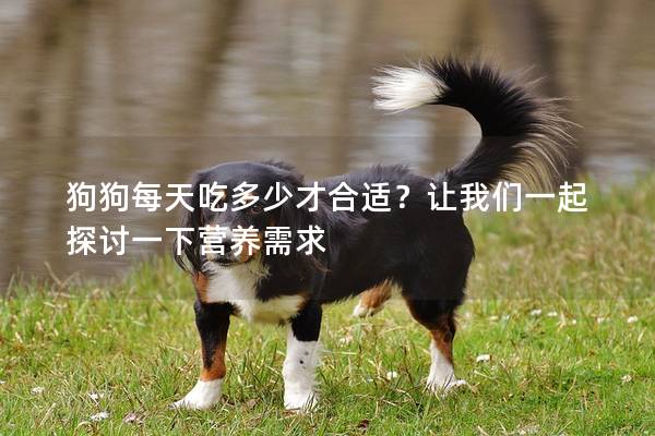 狗狗每天吃多少才合适?让我们一起探讨一下营养需求 狗狗每天吃多少才合适?让我们一起探讨一下营养需求