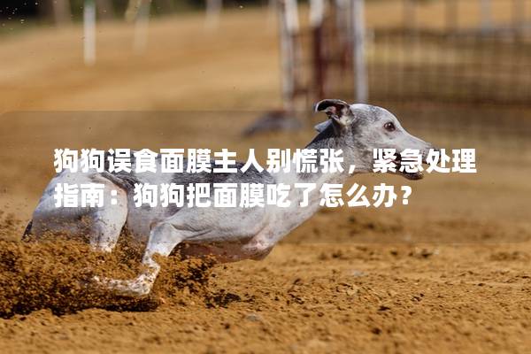 狗狗误食面膜主人别慌张，紧急处理指南：狗狗把面膜吃了怎么办？