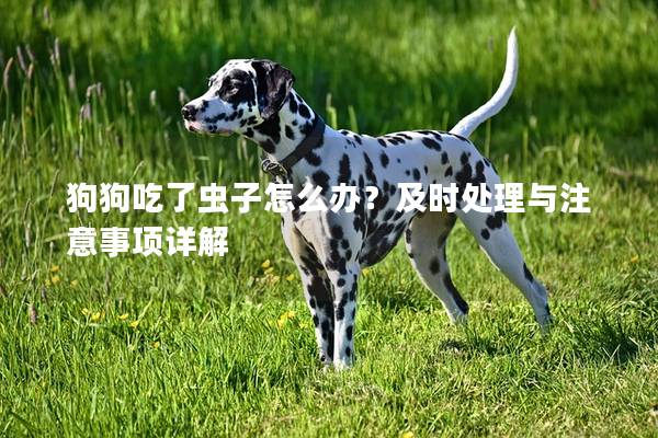 狗狗吃了虫子怎么办?及时处理与注意事项详解 狗狗吃了虫子怎么办?及时处理与注意事项详解