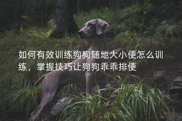 如何有效训练狗狗随地大小便怎么训练，掌握技巧让狗狗乖乖排便