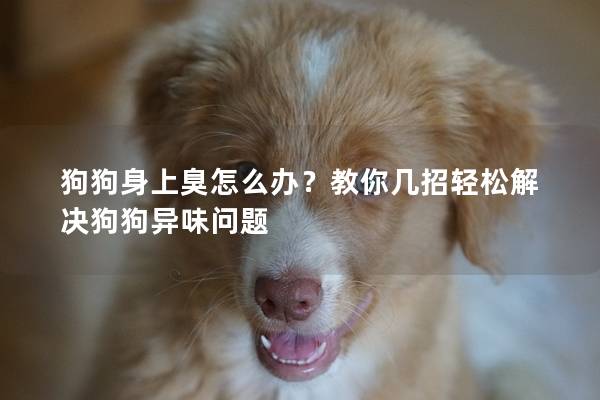 狗狗身上臭怎么办？教你几招轻松解决狗狗异味问题