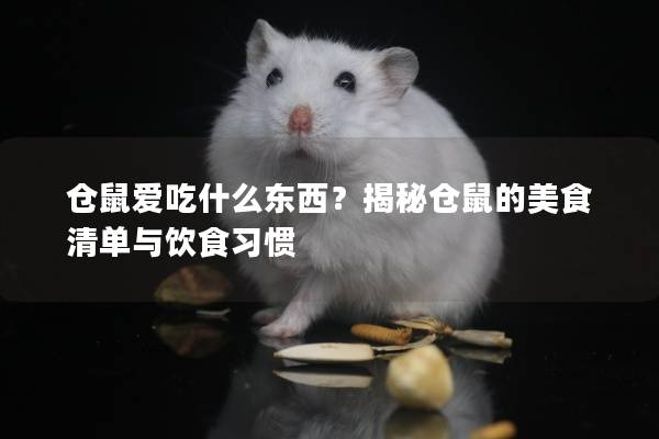 仓鼠爱吃什么东西？揭秘仓鼠的美食清单与饮食习惯