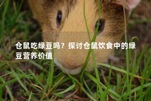 仓鼠吃绿豆吗？探讨仓鼠饮食中的绿豆营养价值