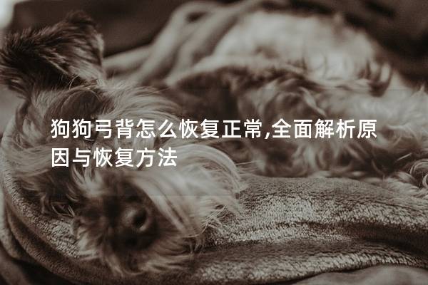狗狗弓背怎么恢复正常,全面解析原因与恢复方法