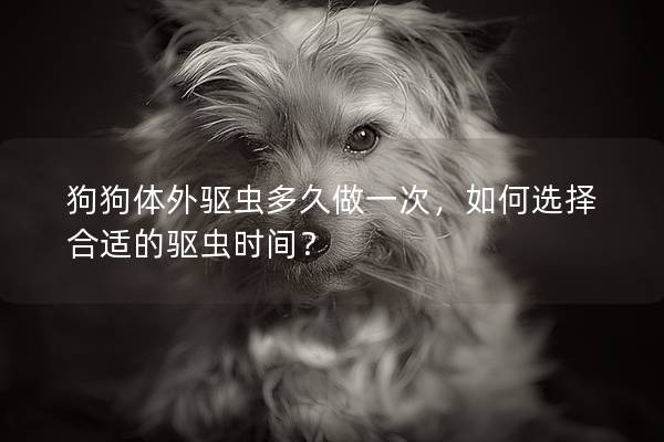 狗狗体外驱虫多久做一次，如何选择合适的驱虫时间？