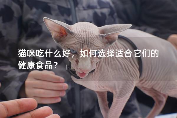 猫咪吃什么好，如何选择适合它们的健康食品？