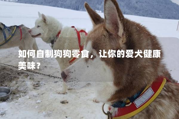 如何自制狗狗零食，让你的爱犬健康美味？
