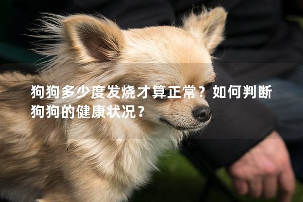 狗狗多少度发烧才算正常？如何判断狗狗的健康状况？