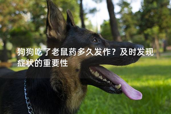 狗狗吃了老鼠药多久发作？及时发现症状的重要性