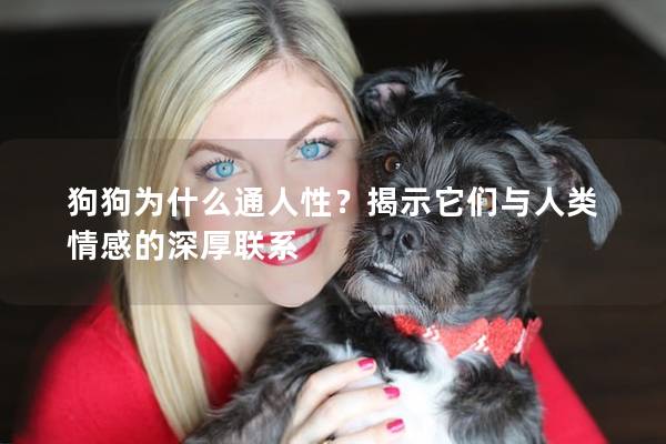 狗狗为什么通人性？揭示它们与人类情感的深厚联系