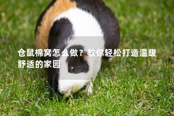 仓鼠棉窝怎么做？教你轻松打造温暖舒适的家园