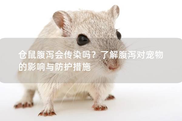 仓鼠腹泻会传染吗？了解腹泻对宠物的影响与防护措施