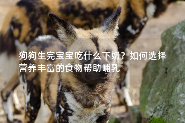 狗狗生完宝宝吃什么下奶？如何选择营养丰富的食物帮助哺乳