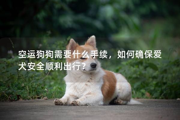 空运狗狗需要什么手续，如何确保爱犬安全顺利出行？