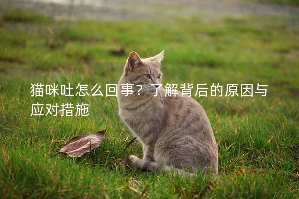 猫咪吐怎么回事？了解背后的原因与应对措施