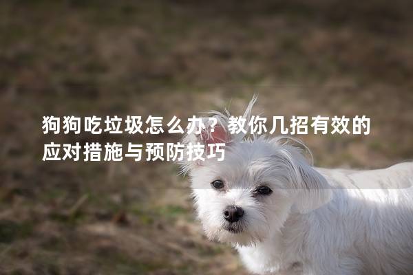狗狗吃垃圾怎么办？教你几招有效的应对措施与预防技巧