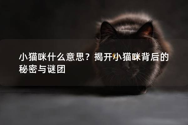 小猫咪什么意思？揭开小猫咪背后的秘密与谜团
