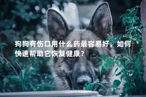 狗狗有伤口用什么药最容易好，如何快速帮助它恢复健康？