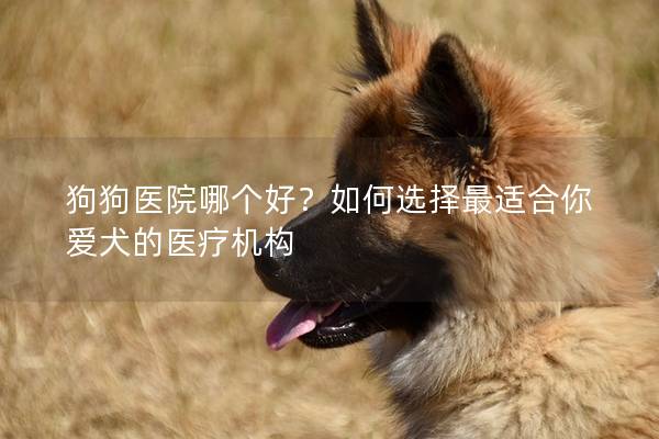 狗狗医院哪个好?如何选择最适合你爱犬的医疗机构 狗狗医院哪个好?如何选择最适合你爱犬的医疗机构