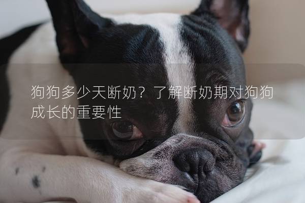 狗狗多少天断奶？了解断奶期对狗狗成长的重要性