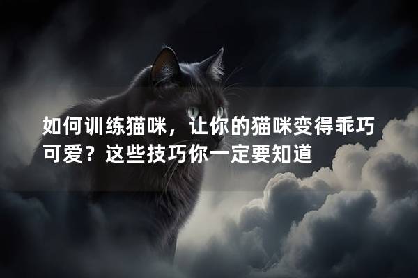 如何训练猫咪，让你的猫咪变得乖巧可爱？这些技巧你一定要知道