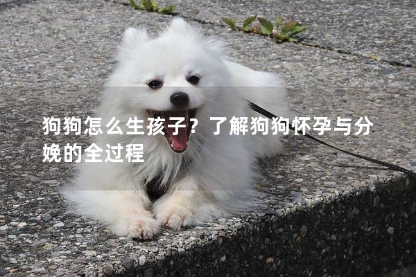 狗狗怎么生孩子?了解狗狗怀孕与分娩的全过程 狗狗怎么生孩子?了解狗狗怀孕与分娩的全过程