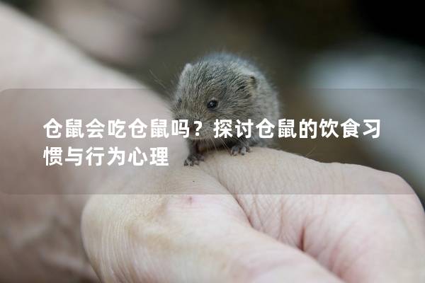 仓鼠会吃仓鼠吗？探讨仓鼠的饮食习惯与行为心理