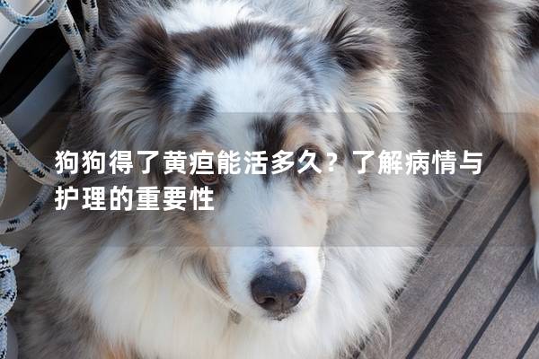 狗狗得了黄疸能活多久？了解病情与护理的重要性