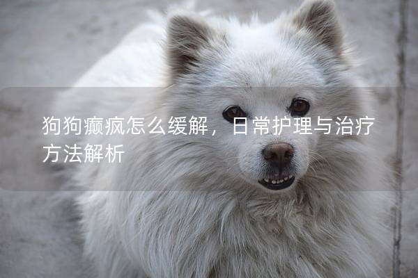 狗狗癫疯怎么缓解,日常护理与治疗方法解析 狗狗癫疯怎么缓解,日常护理与治疗方法解析