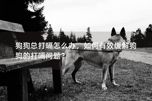 狗狗总打嗝怎么办,如何有效缓解狗狗的打嗝问题? 狗狗总打嗝怎么办,如何有效缓解狗狗的打嗝问题?