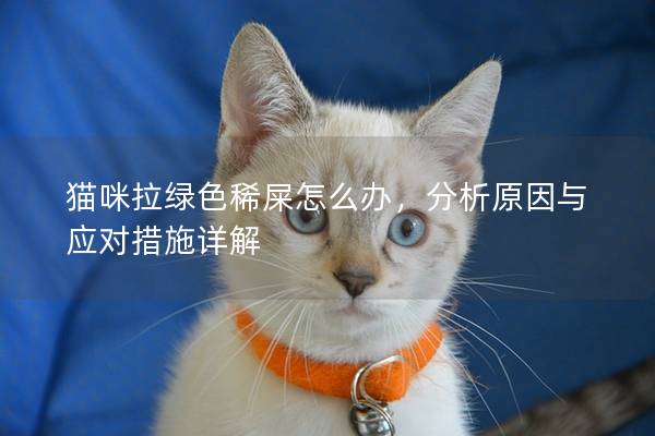 猫咪拉绿色稀屎怎么办，分析原因与应对措施详解
