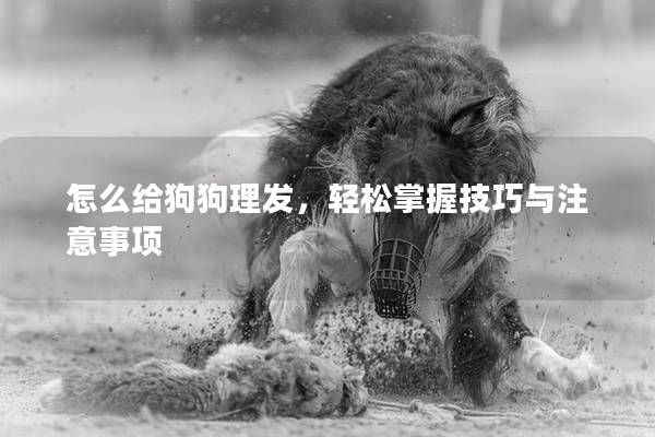 怎么给狗狗理发,轻松掌握技巧与注意事项 怎么给狗狗理发,轻松掌握技巧与注意事项