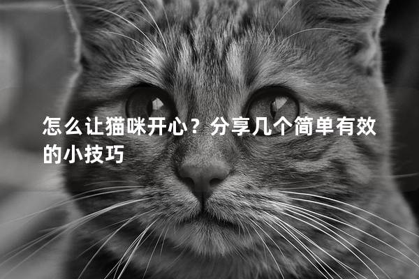 怎么让猫咪开心？分享几个简单有效的小技巧