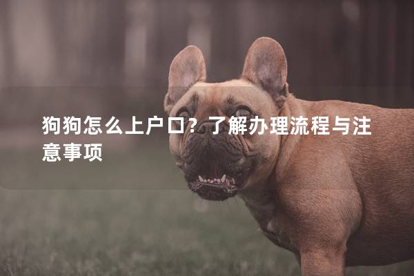 狗狗怎么上户口？了解办理流程与注意事项