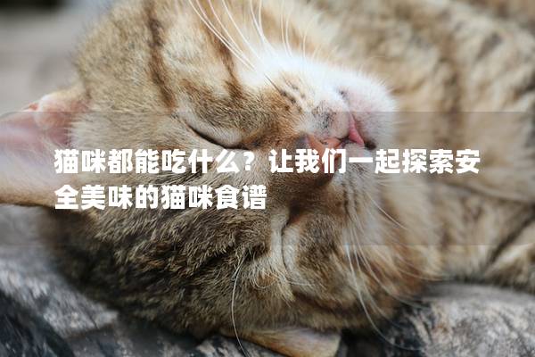 猫咪都能吃什么？让我们一起探索安全美味的猫咪食谱