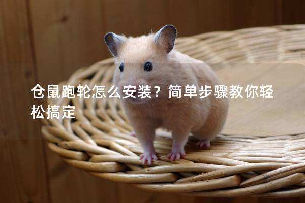 仓鼠跑轮怎么安装？简单步骤教你轻松搞定