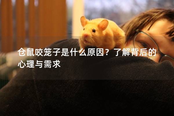 仓鼠咬笼子是什么原因？了解背后的心理与需求