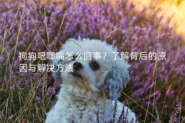 狗狗吧唧嘴怎么回事？了解背后的原因与解决方法