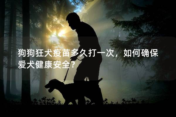 狗狗狂犬疫苗多久打一次，如何确保爱犬健康安全？